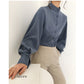 Big Lantern Sleeve Blouse Women Autumn Winter Single Breasted Stand Collar Shirts Office Work Blouse Solid Vintage Blouse Shirts