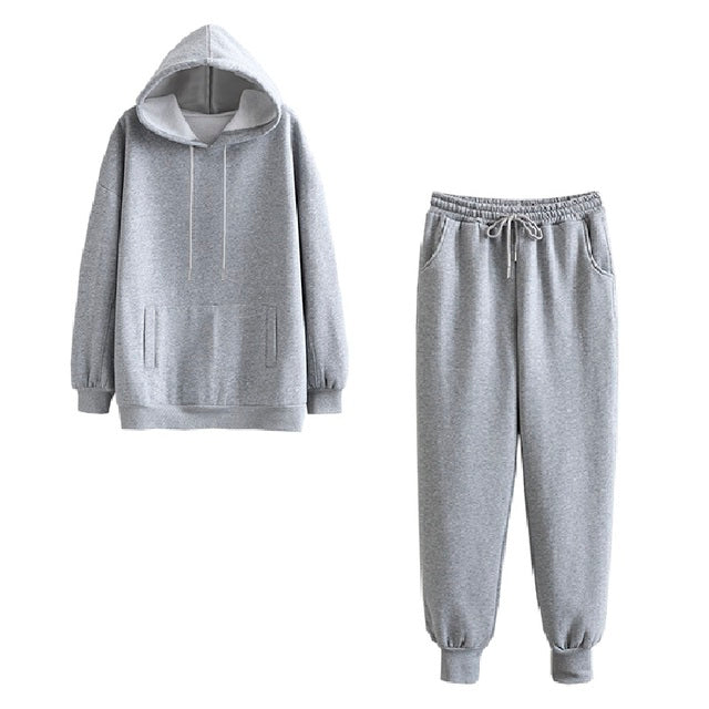 Autumn Winter Women tracksuit thick fleece 100% cotton suit 2 pieces sets hoodies sweatshirt and pants suits